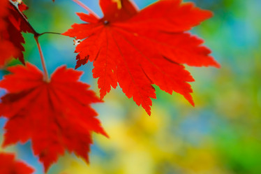 Similar image 461574