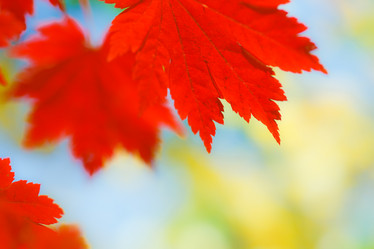 Similar image 461575