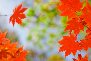 Similar image 461577