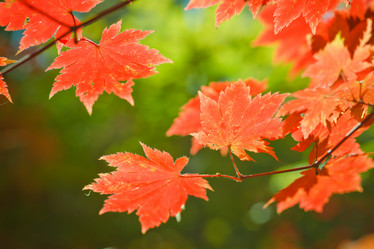 Similar image 461580