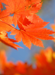 Similar image 461595