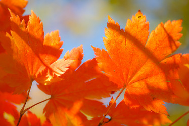 Similar image 461600