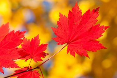 Similar image 461602