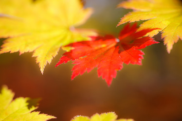 Similar image 461609