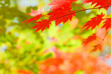 Similar image 461621