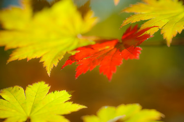 Similar image 461626