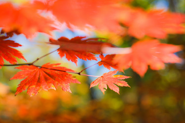 Similar image 461629