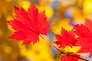 Similar image 461633