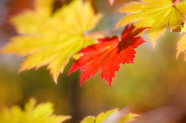 Similar image 461648