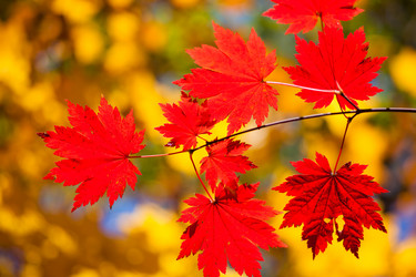 Similar image 461672