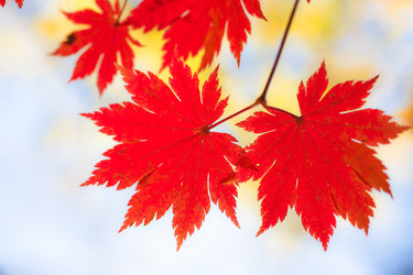 Similar image 461673