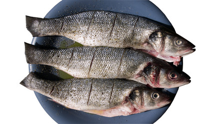 Similar image 461691