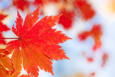 Similar image 461703