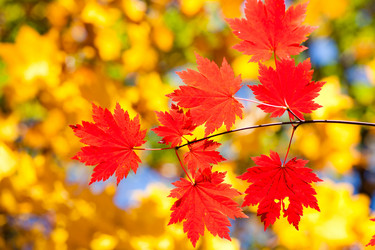 Similar image 461708