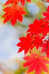 Similar image 461726