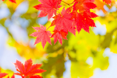 Similar image 461737