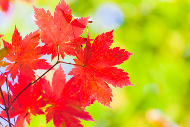 Similar image 461741