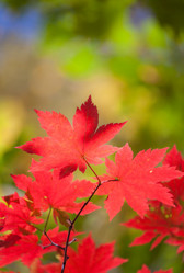 Similar image 461747