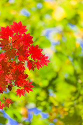 Similar image 461752