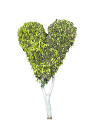 Similar image 461759