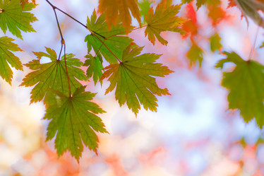 Similar image 461776