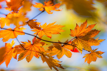 Similar image 461781