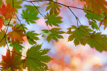 Similar image 461784