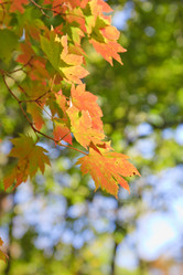 Similar image 461787