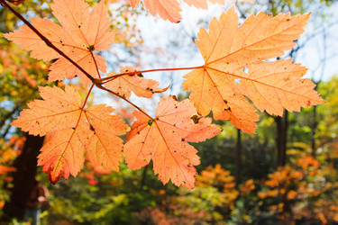 Similar image 461790