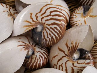 Similar image 461789