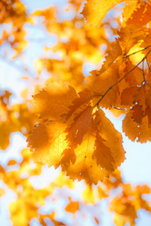 Similar image 461801