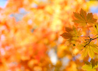 Similar image 461805