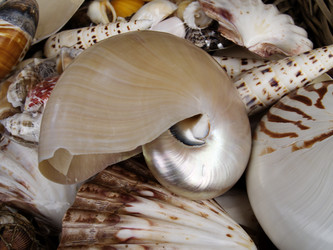 Similar image 461806