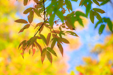 Similar image 461807