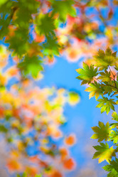 Similar image 461810