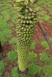 Similar image 461817