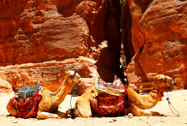 Similar image 461837