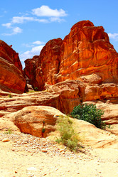 Similar image 461842