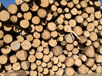 Similar image 461851