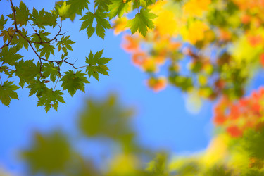 Similar image 461860