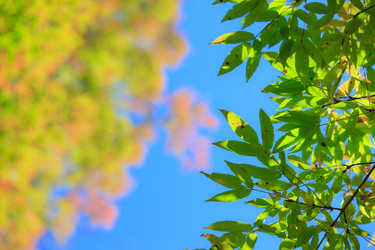 Similar image 461864