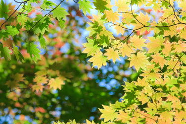 Similar image 461870