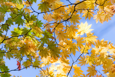 Similar image 461874