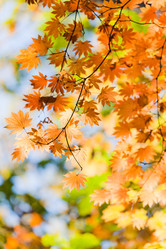 Similar image 461878