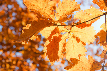 Similar image 461882