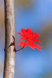 Similar image 461888