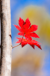 Similar image 461889