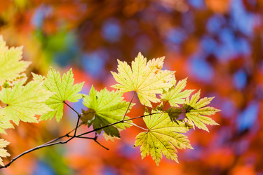 Similar image 461894