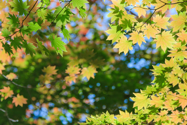 Similar image 461897