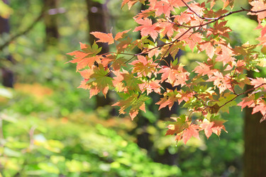 Similar image 461898